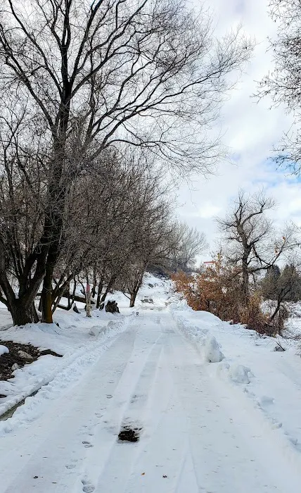 Petersen Park Recreation Camp Picture 10