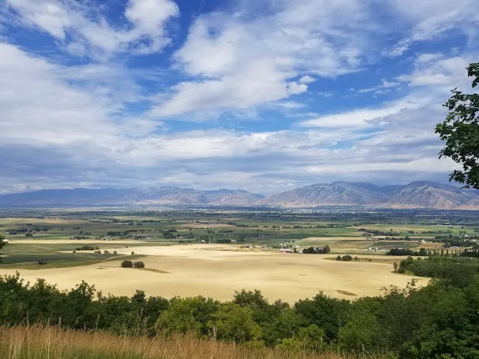 Maple Rise Recreation Camp Picture 2