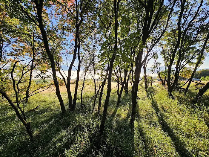 Maple Rise Recreation Camp Picture 7