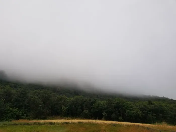 Maple Rise Recreation Camp Picture 8