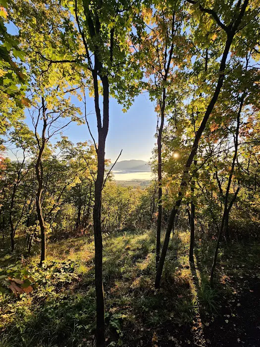 Maple Rise Recreation Camp Picture 10