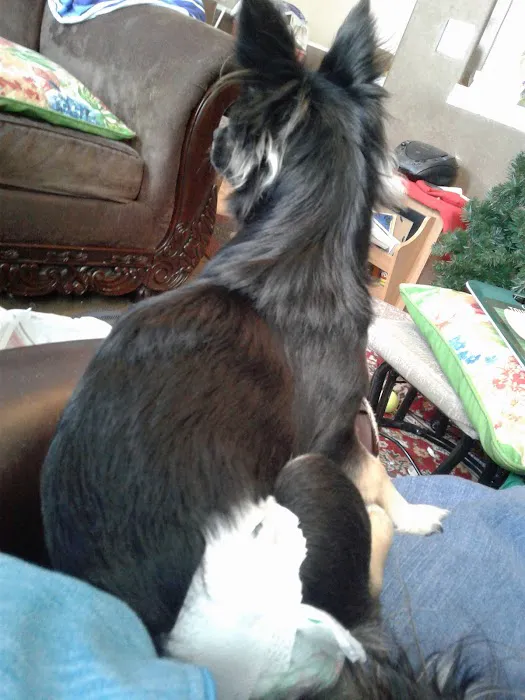 US Forest Service Warehouse Picture 3