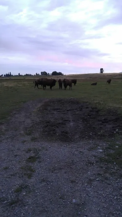 Camp Rendezvous Picture 3