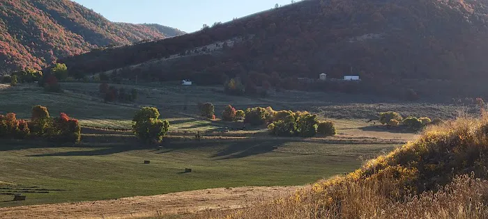 Mount Sterling Recreation Camp Picture 5