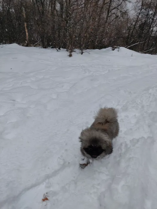 Hyrum City CCC Camp Picture 3