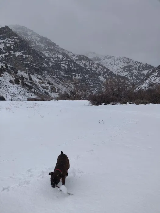 Hyrum City CCC Camp Picture 1