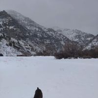 Hyrum City CCC Camp ico