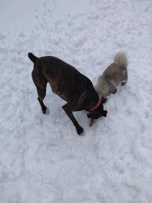 Hyrum City CCC Camp Picture 8