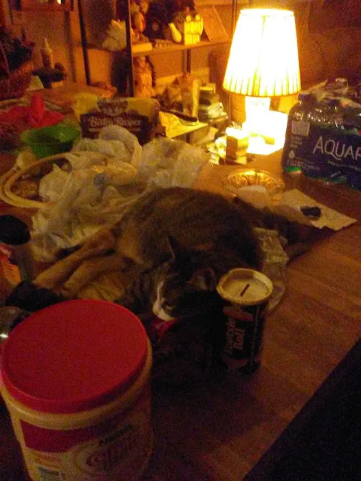 Hidden Hills Mobile Home Community Picture 3