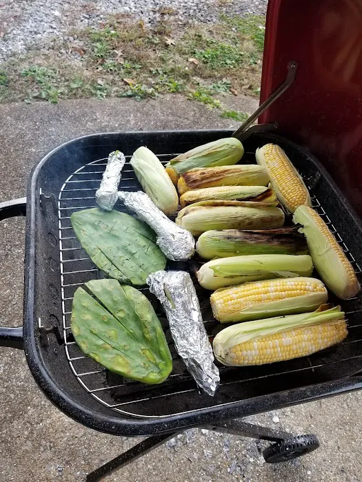 Hidden Hills Mobile Home Community Picture 4