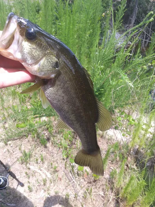 Polo Estates MHC Picture 8