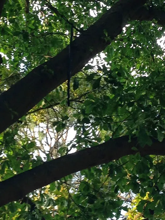 Polo Estates MHC Picture 10