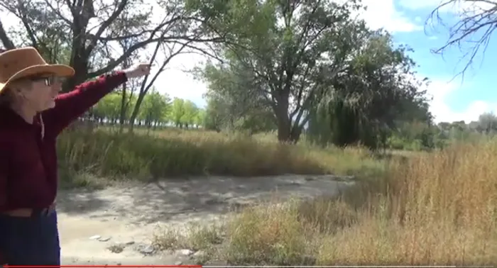 Westside Campground / Ocean Lake WHMA Picture 2