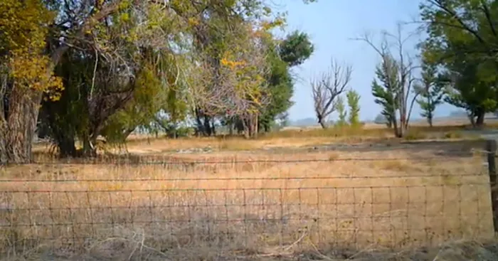 Westside Campground / Ocean Lake WHMA Picture 3