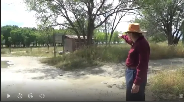 Westside Campground / Ocean Lake WHMA Picture 4