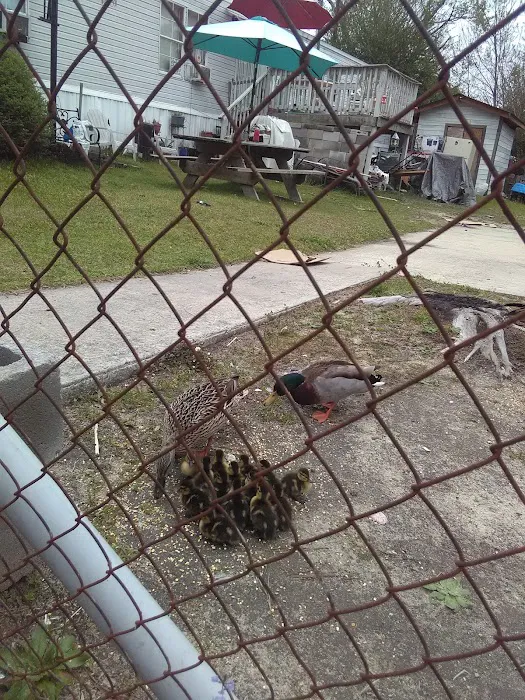 Lakewood Mobile Home Park Inc Picture 1