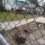 Lakewood Mobile Home Park Inc