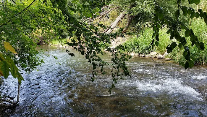 Pioneer Campground Picture 3