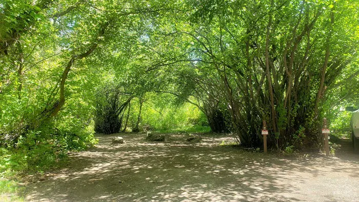 Pioneer Campground Picture 4