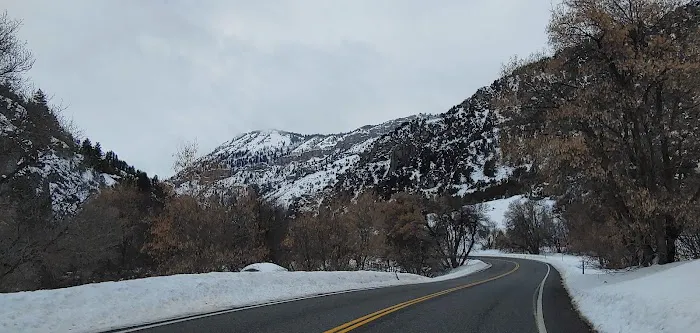 Pioneer Campground Picture 10