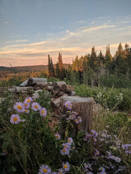 Red Spur Recreation Camp Picture 3