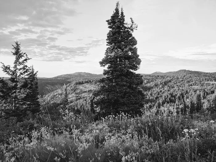 Red Spur Recreation Camp Picture 7