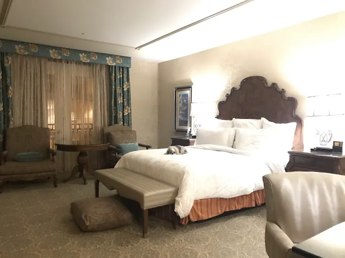 Wheels of Wonderment Picture 3