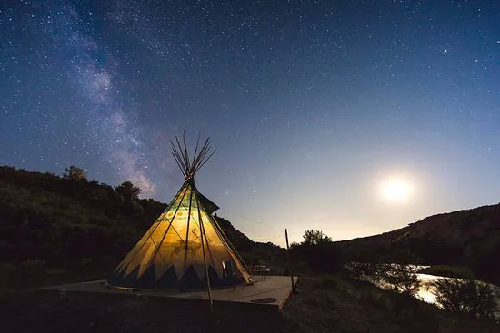 Wheels of Wonderment Picture 5