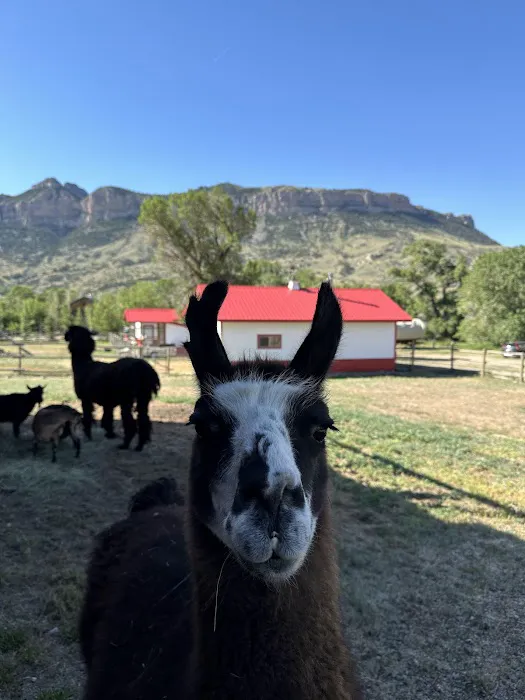 Eycat Lodging Company Picture 8