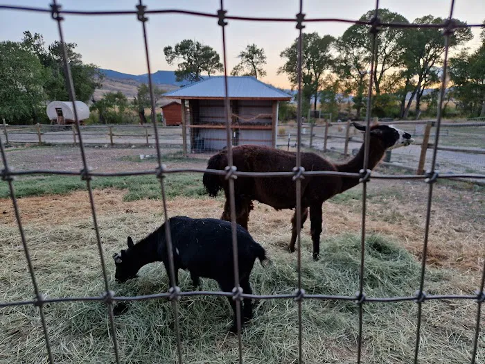 Eycat Lodging Company Picture 10