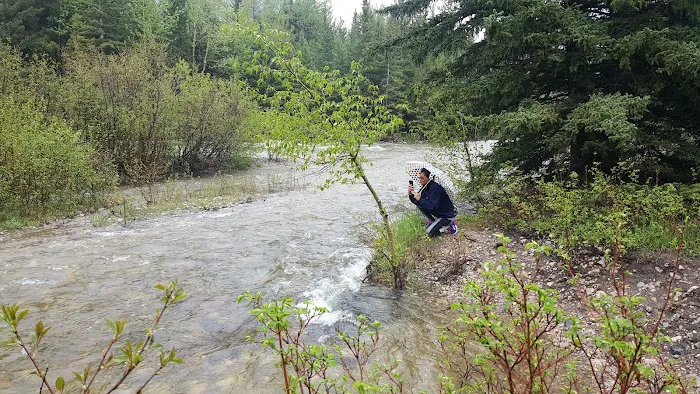 Rattin Campground Picture 4