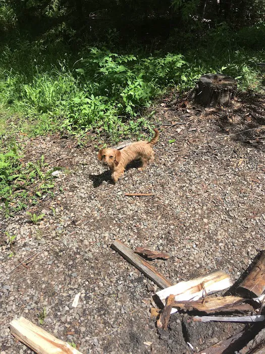 Rattin Campground Picture 7