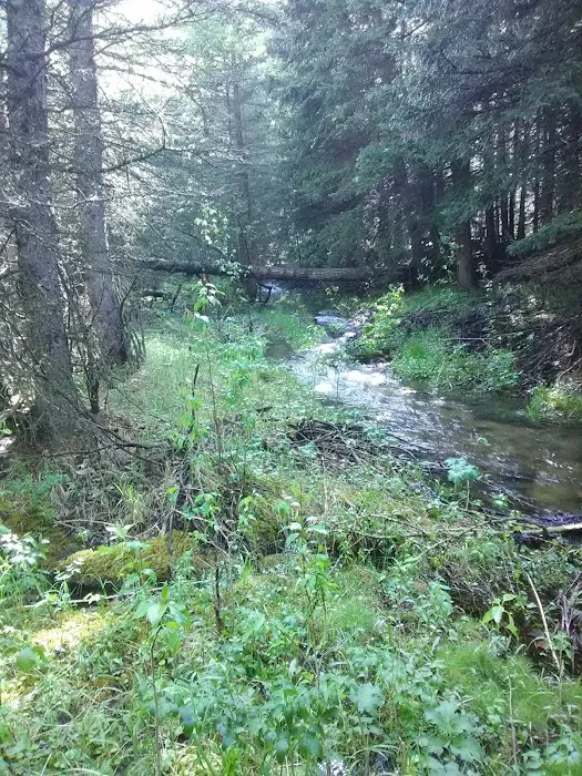 Rattin Campground Picture 8