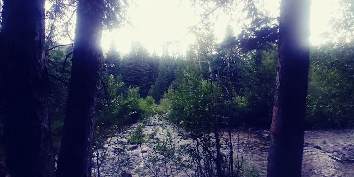 Sheridan Campground Picture 4