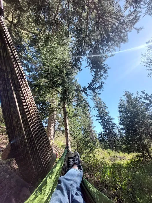 Sheridan Campground Picture 9