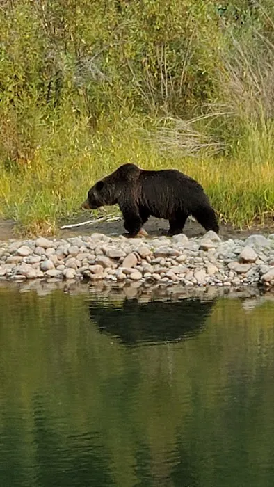 Newton Creek Campground Picture 9