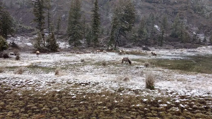 Eagle Creek Campground Picture 8