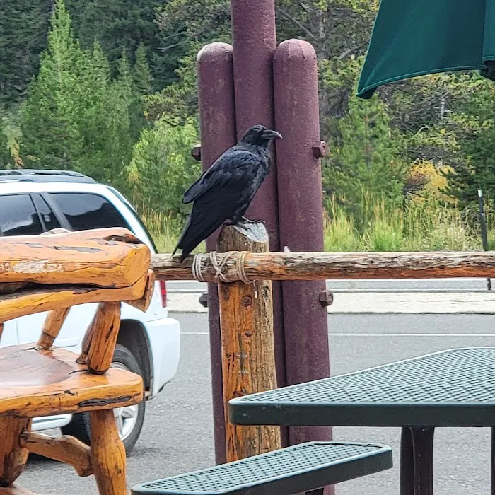 Threemile Campground Picture 5