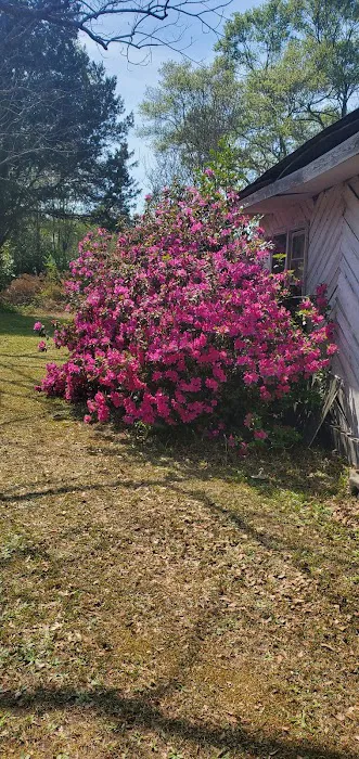 Rolling Meadows Picture 9