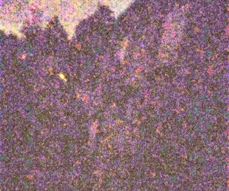 Gaston Mobile Home Community