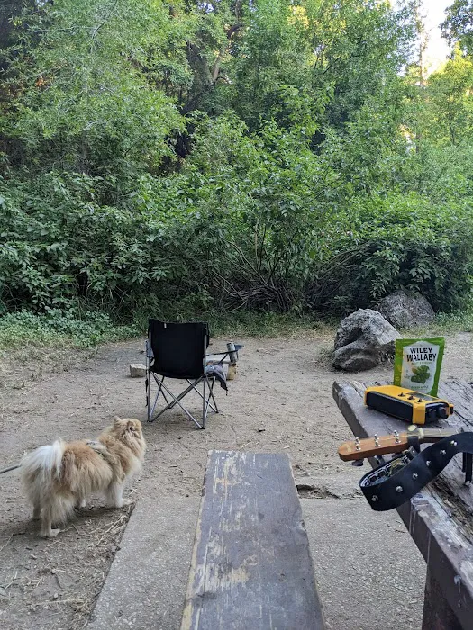 Box Elder Campground Picture 3