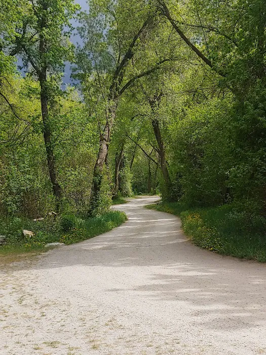 Box Elder Campground Picture 6