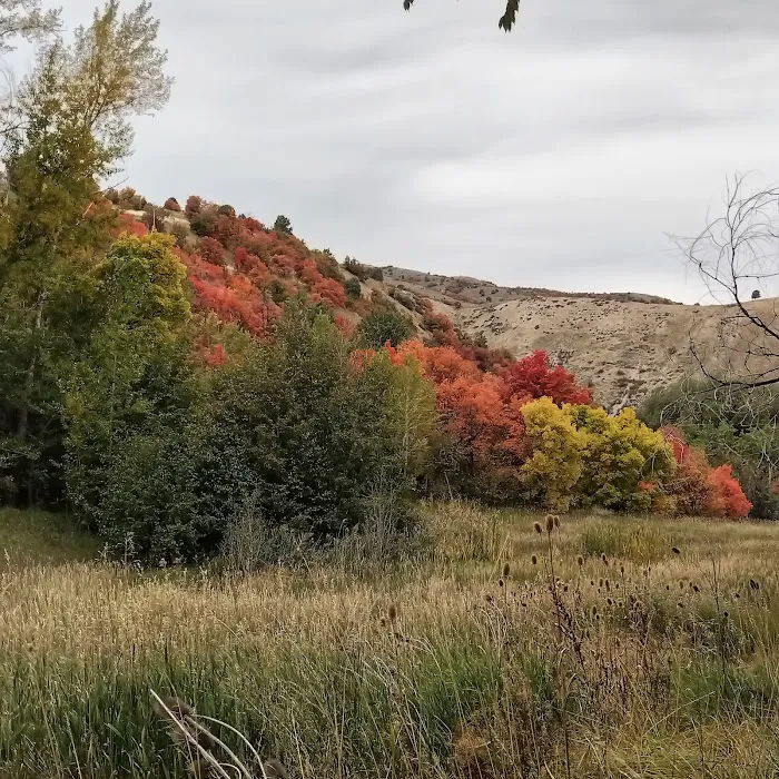 Box Elder Campground Picture 9