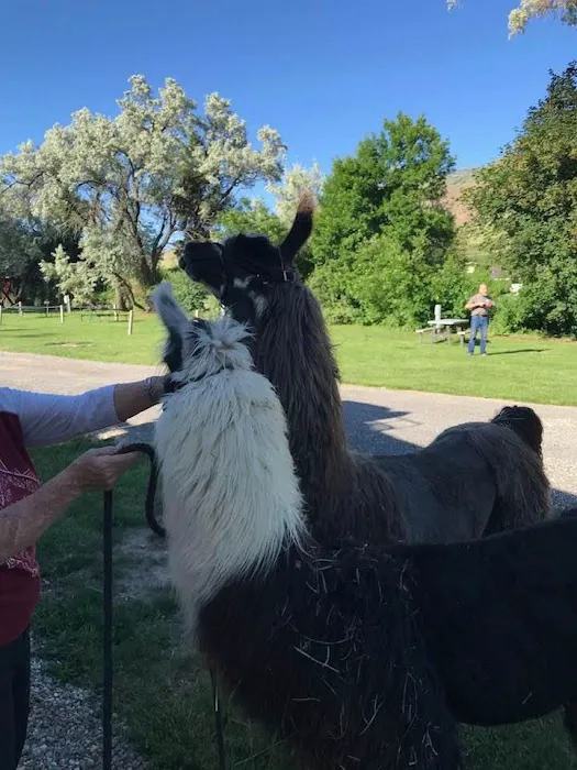 Brigham City / Perry South KOA Journey Picture 10