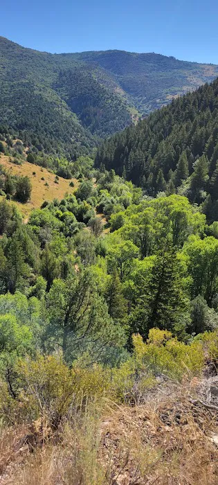 Cinnamon Creek Camp Picture 4