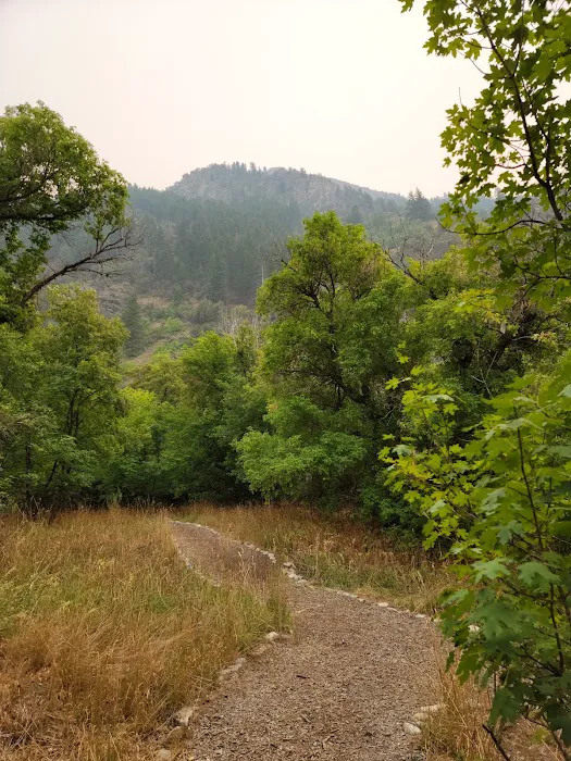 Cinnamon Creek Camp Picture 7