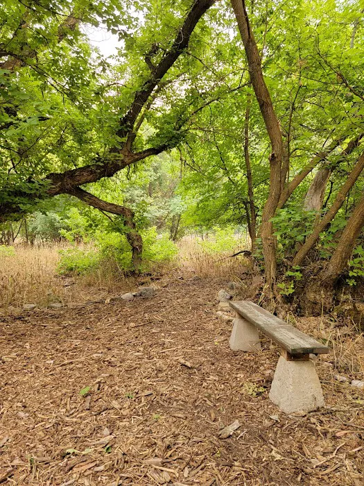 Cinnamon Creek Camp Picture 8