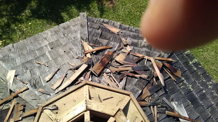 Augusta Estates Mobile Home Picture 5