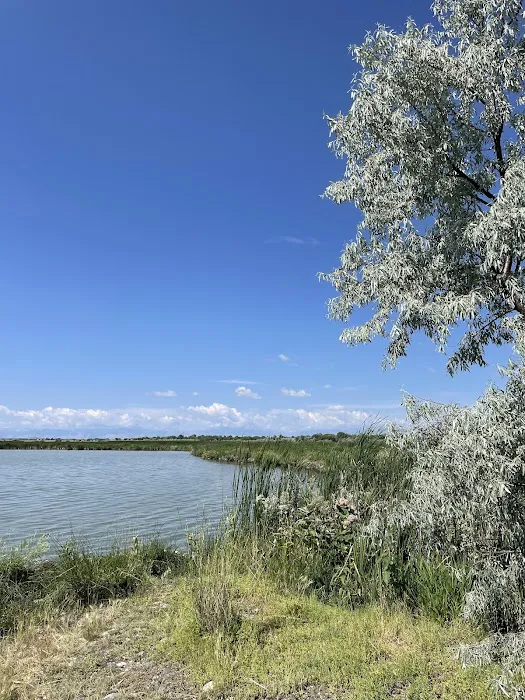 Ocean Lake WHMA Northwest Campground Area Picture 1