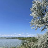 Ocean Lake WHMA Northwest Campground Area ico